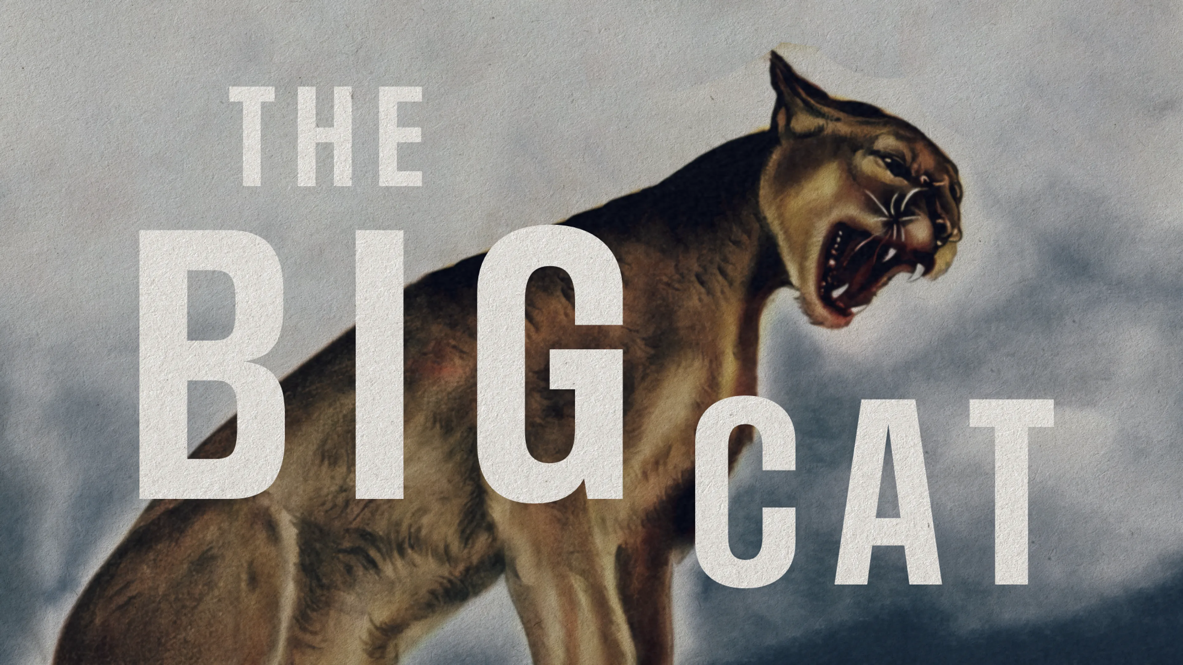 The Big Cat poster